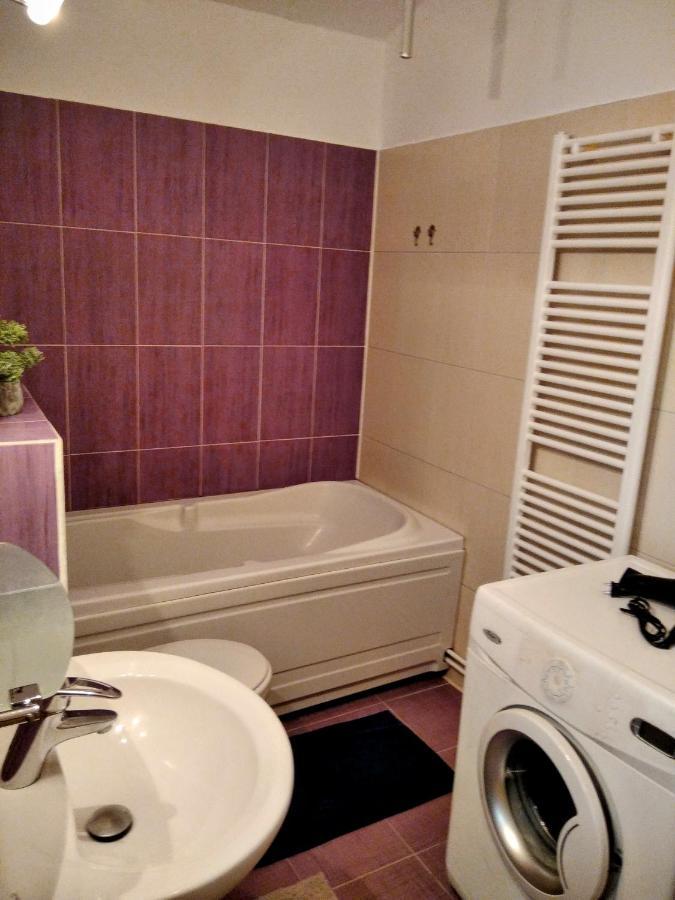 Lovely Central Apartment Брашов Экстерьер фото