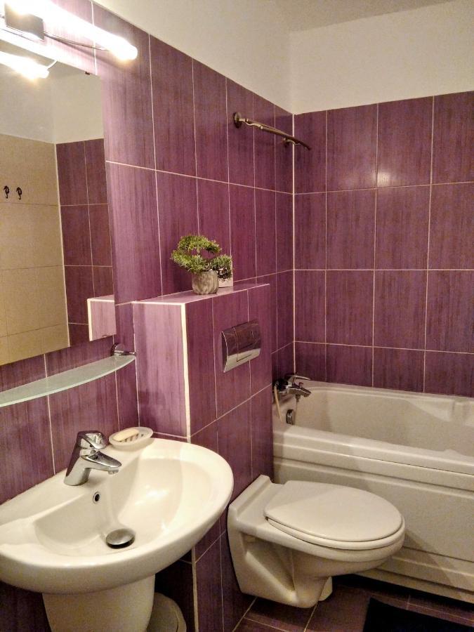 Lovely Central Apartment Брашов Экстерьер фото